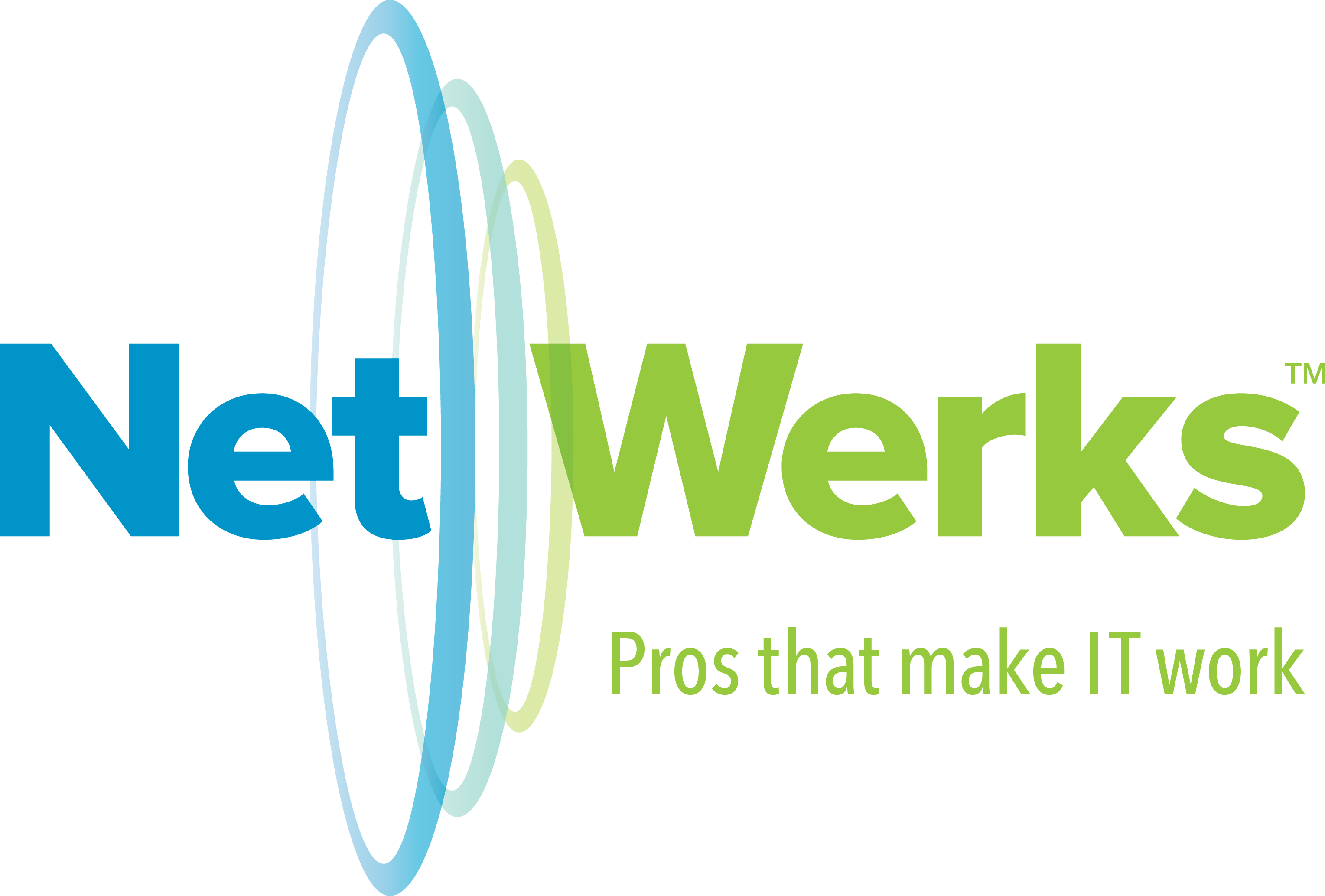 NetWerks Strategic Services, LLC